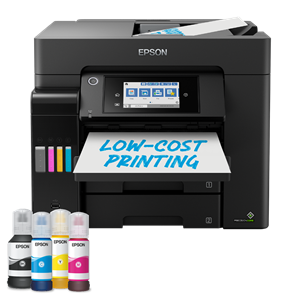 Picture of Epson L6570 MEA